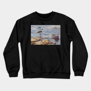 Plover Crewneck Sweatshirt